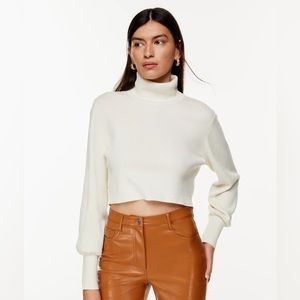 Aritzia Wilfred Rebecca Turtleneck